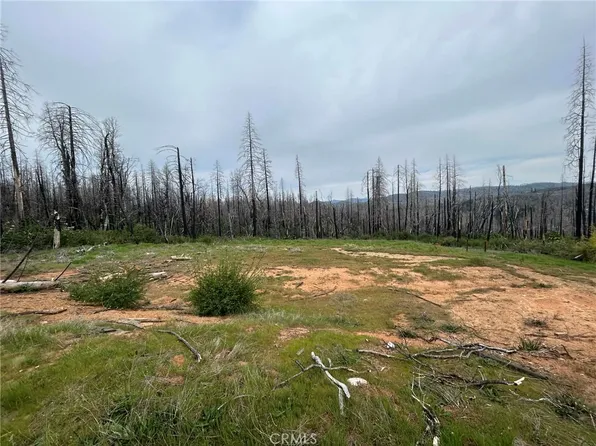 83 Oak Tree Ln, Berry Creek, CA 95916