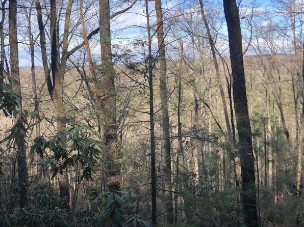 450 Holder Cemetery Rd, Tellico Plains, TN 37385