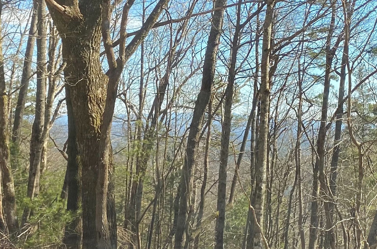 Chatsworth Hwy, Ellijay, GA 30540 Zillow