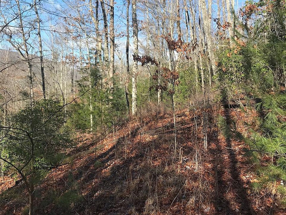2nd image of 5 Honey Mountain Ln