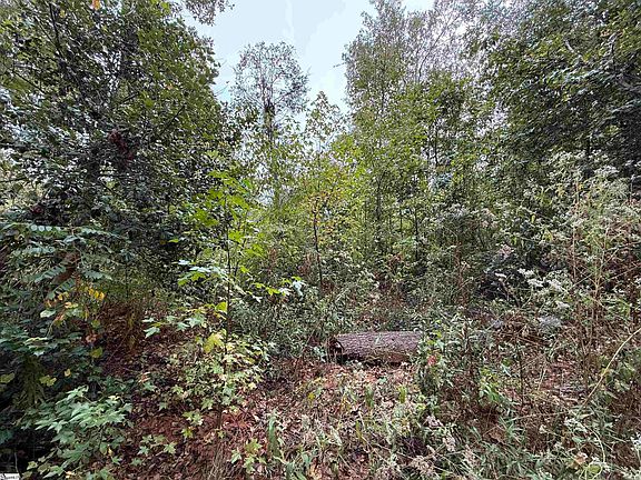 5th image of 720 Holland Ford Rd