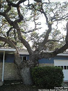 4th image of 107 Oak Springs Dr