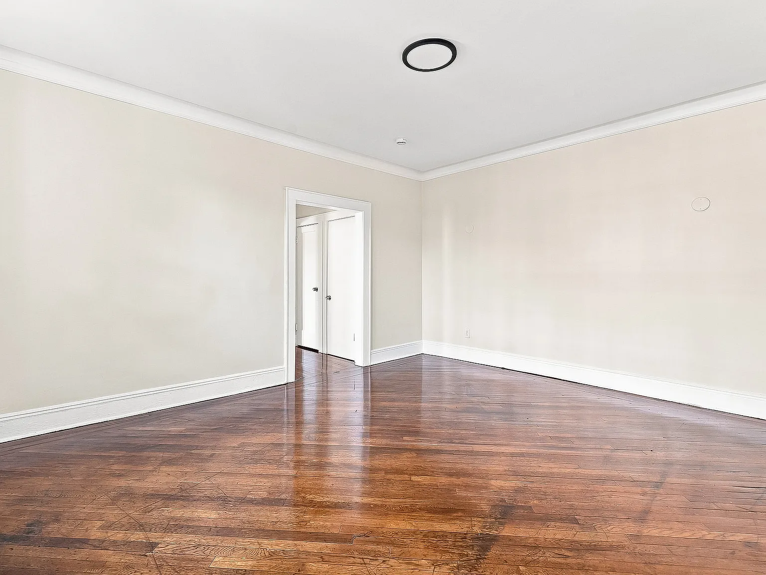 1 bed, 800 sqft, $1,750 — Photo 4