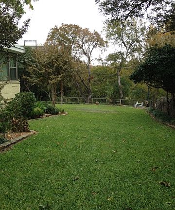 South side yard