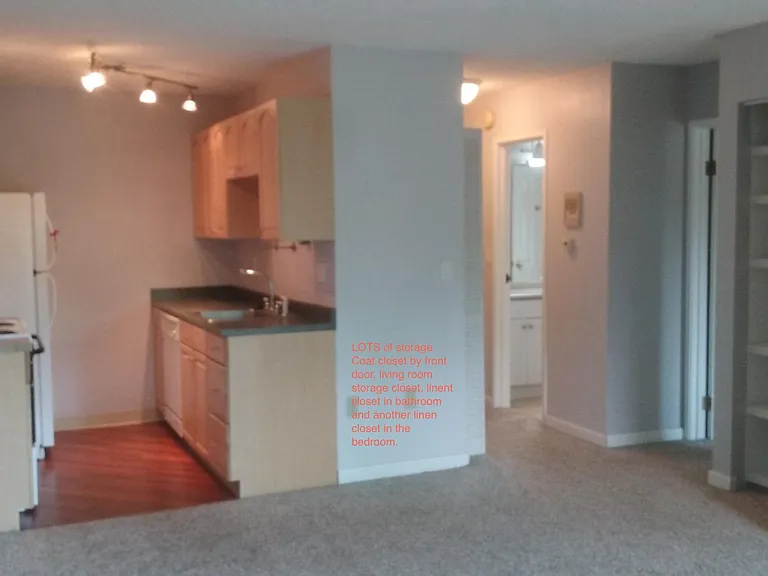 Updated Kitchen and lots of storage