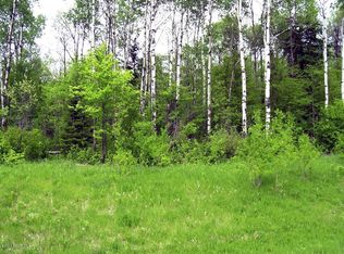 Power Dam Rd NE, Bemidji, MN 56601