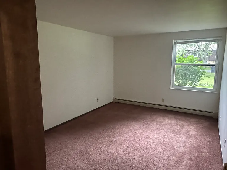 Paradise Apartments — Photo 9