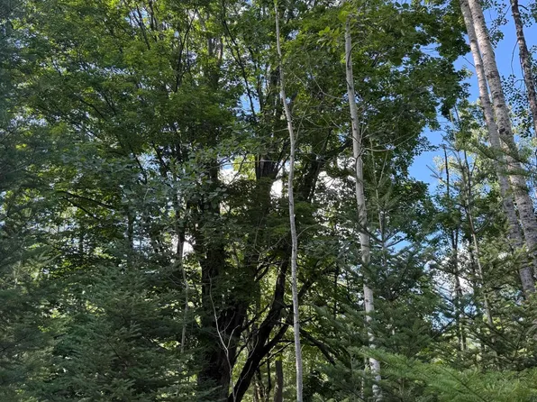 N Herron Rd, Alpena, MI 49707