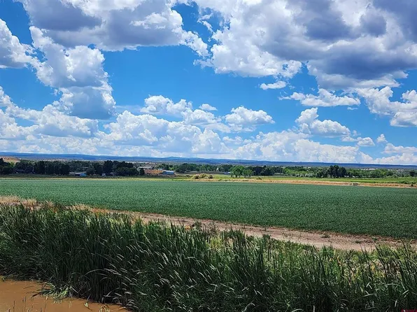 TBD Hickory Road, Olathe, CO 81425