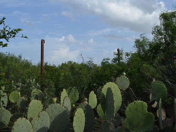 4th image of 93 Los Centenarios Rd