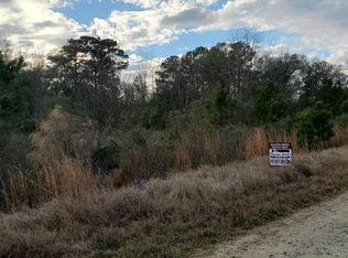 411 Shiloh Rd, Ray City, GA 31645