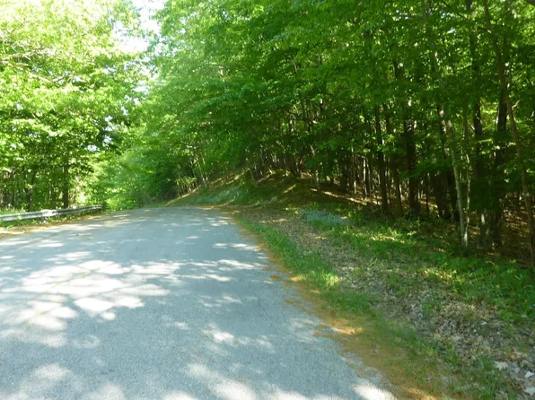 Oo Point Betsie Rd, Frankfort, MI 49635