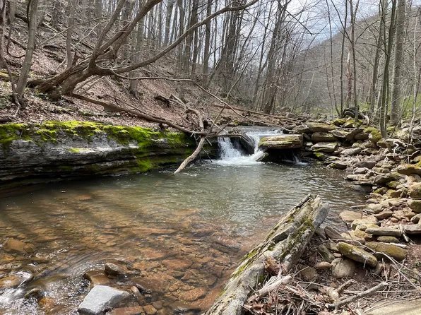 0 Brushy Run Rd, Seneca Rocks, WV 26884