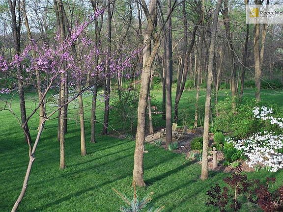 Picture from late April, or early May 2018.  Red Bud on left, White Dogwood on right, lower Right is a 'Smoke' Tree located at the base of the Koi Pond, note the top of the Blue Spruce at Bottom middle of this picture.  Not shown is a gorgeous Magnolia Tr