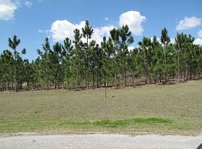2nd image of 1551 N Jimmie Foxx Path