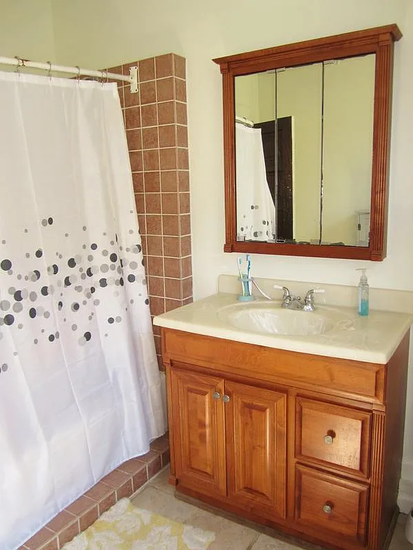 4 bed, 1450 sqft, $2,700 — Photo 3