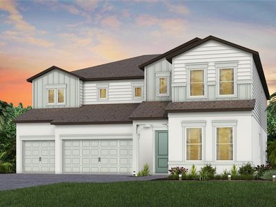 11349 Osprey Preserve Pl, Riverview, FL, 33569