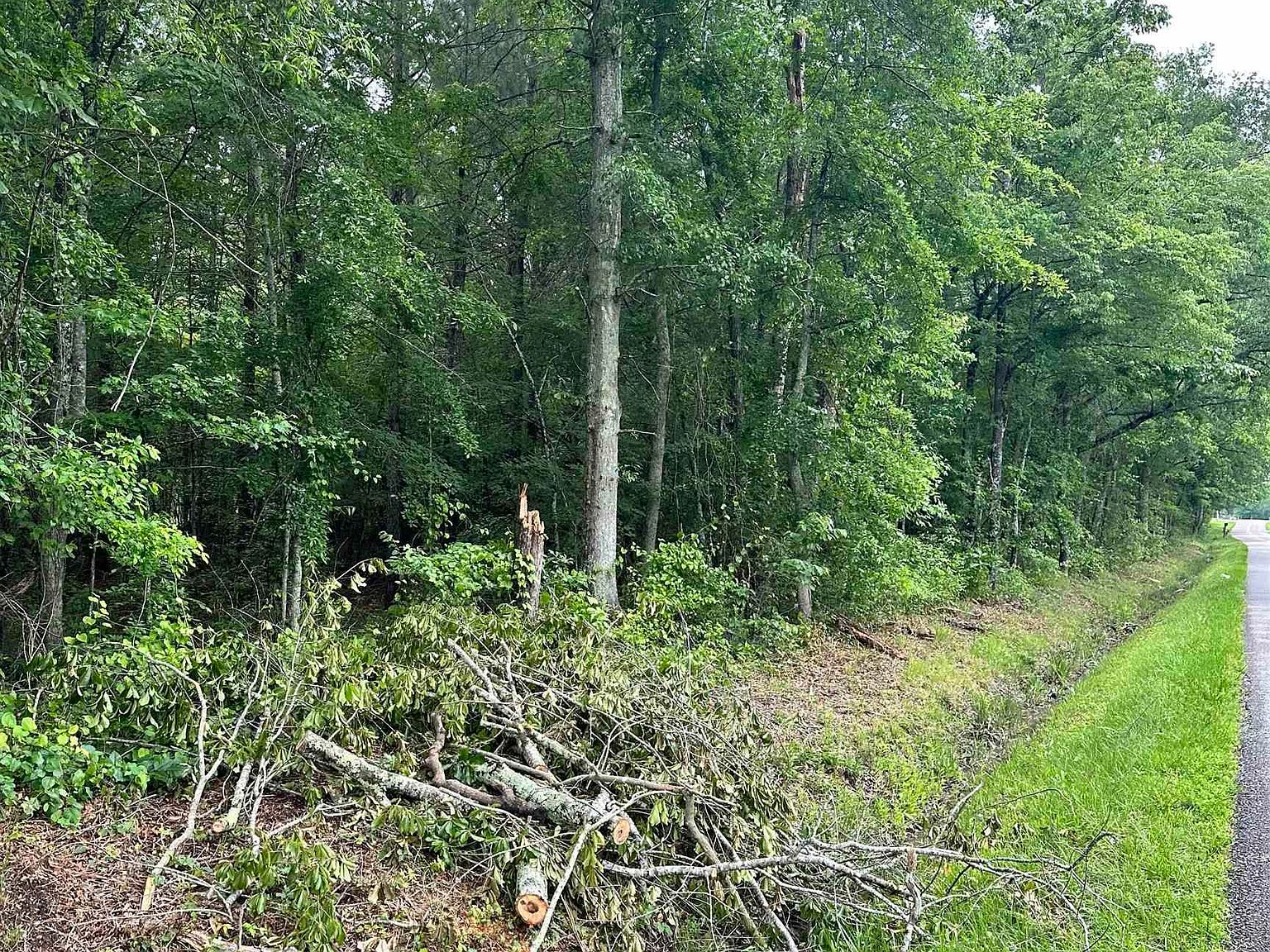 Riddles Bend Rd, Rainbow City, AL 35906 Zillow