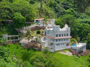 Km 23.7 Prairie Rd #156, Comerio, PR 00782