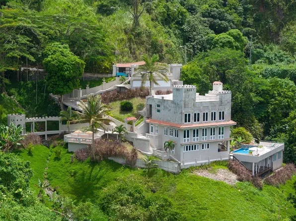 Km 23.7 Prairie Rd #156, Comerio, PR 00782