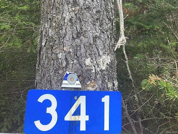 5th image of 341 Fundy Dr