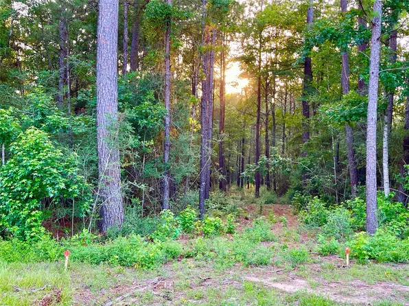 1-1-31 Texas Grand Rd, Huntsville, TX 77340