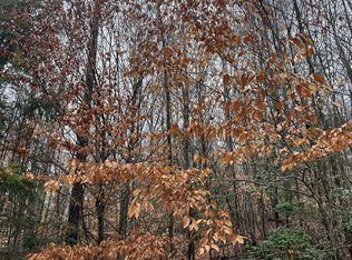 Sog 47.56 Grassy Run Grassy Run Rd, Buckhannon, WV 26201