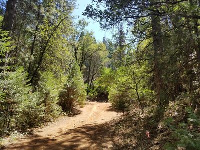 33360 Main St, Dutch Flat, CA, 95714
