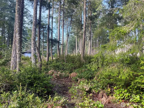 40 E Paint Brush Lane, Union, WA 98592