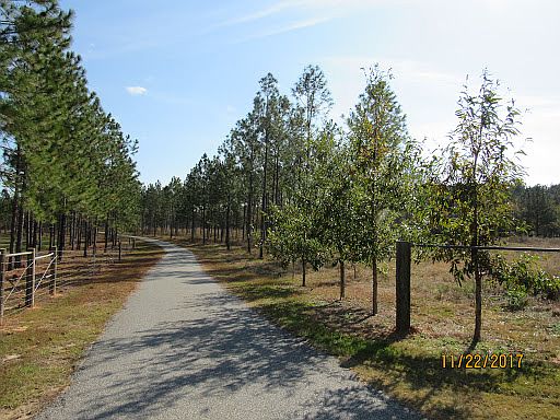 Driveway is app 1/4mi long