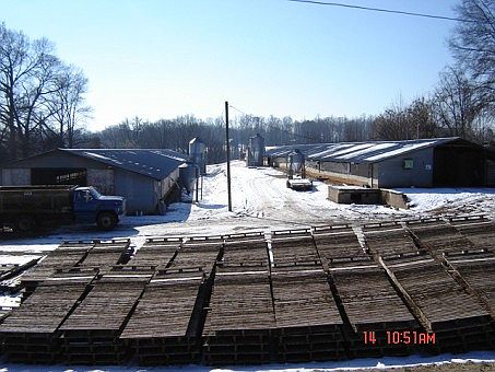 2nd image of 117 Bridle Ln