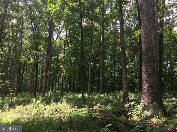 153 Gum Bush Rd, Townsend, DE 19734