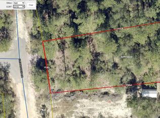 Xx Clearwater Dr, Defuniak Springs, FL 32433