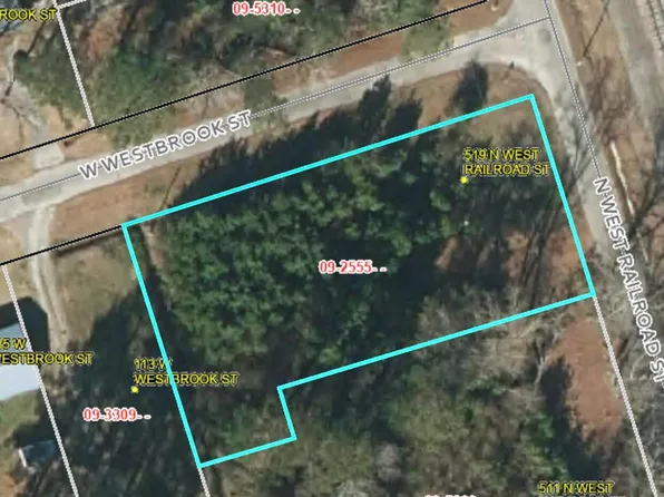 519b N West Railroad Street, Wallace, NC 28466