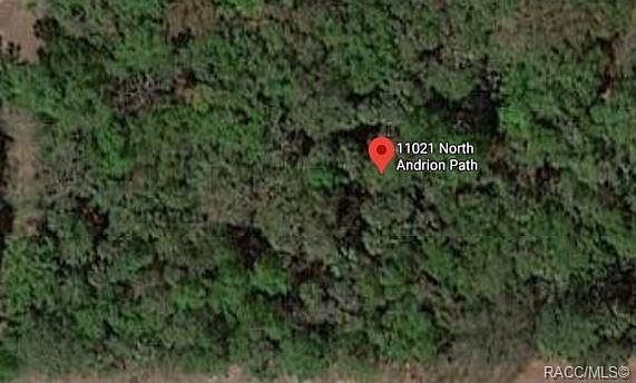 2nd image of 11021 N Andrion Path