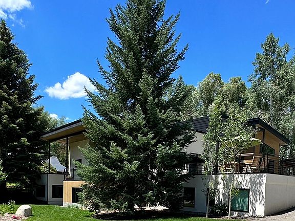 Street view with professional landscape and mature blue spruce trees.