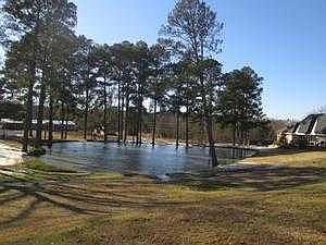 Backyard View