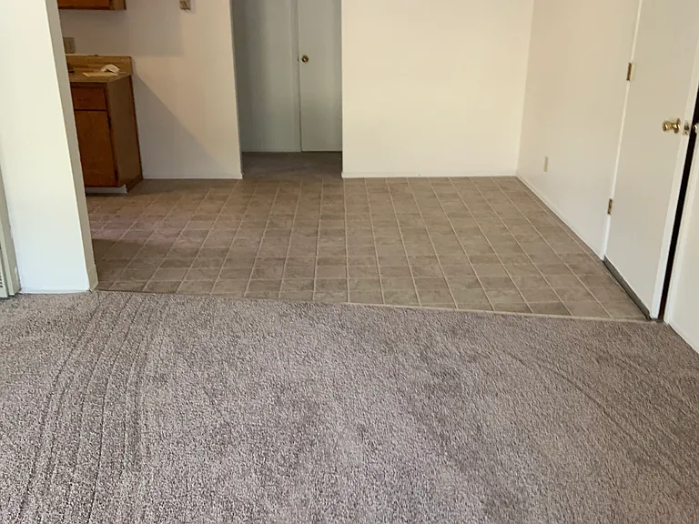 1520 Brown St — Photo 5