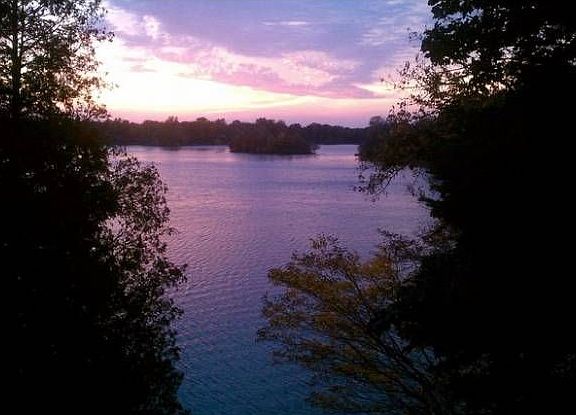 View of Lake at night