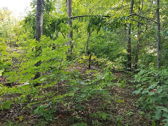 2nd image of LOT 50 Georgia Dr Lot 50