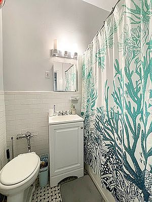 4th image of 478 3rd Ave APT 2A