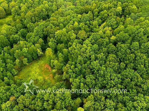 4th image of 679 Burnems Run Rd