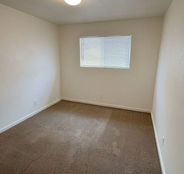 4198 — Photo 17