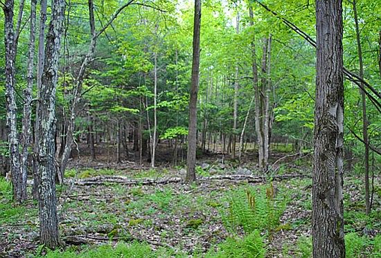 4th image of Par 40 Acr 66th
