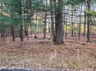 NULLF Hannah Ave, Croswell, MI 48422