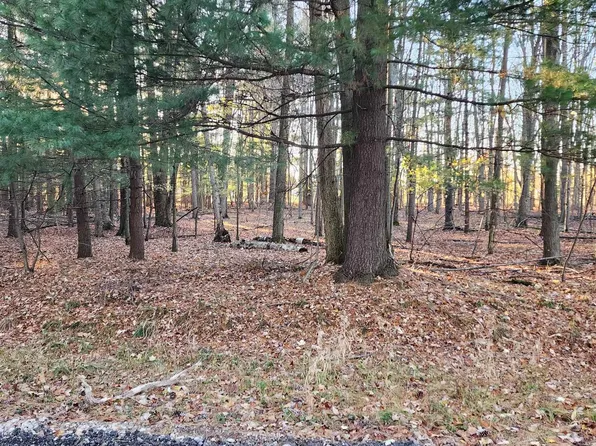 NULLF Hannah Ave, Croswell, MI 48422