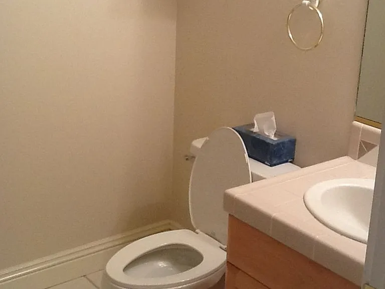 682 Lava Point Dr — Photo 13