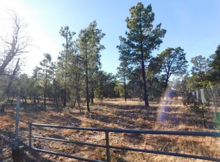 2840 Lejo Rd, Overgaard, AZ 85933