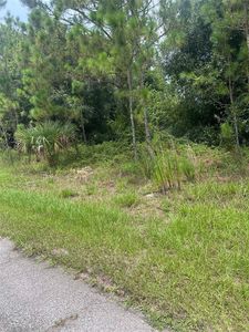 Caper LOT 6, North Pt, FL, 34286