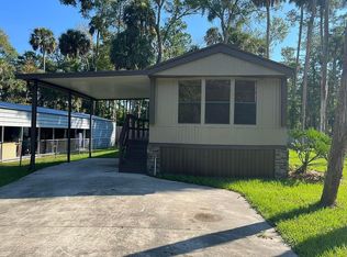 56334 Blue Creek Rd, Astor, FL 32102